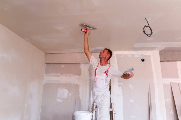 Best Drywall Texturing  in South Zanesville, OH